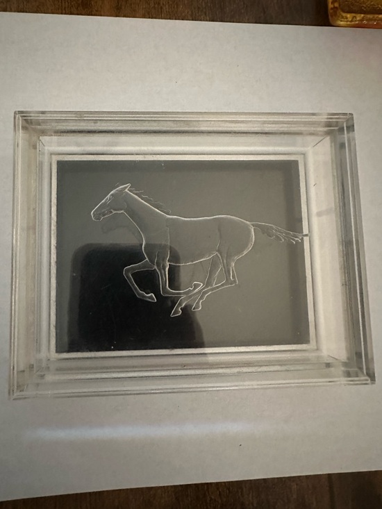 The Unbranded Brand Jewelry - Clear Acrylic Horse Art Plaque with Black Panel